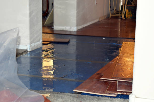 Professional Flood Cleanup technician working in Trenton, IL
